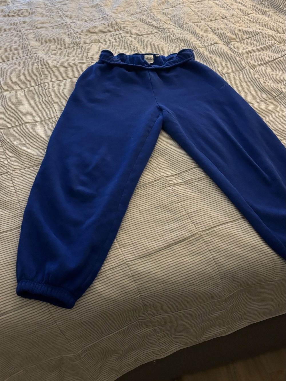Aritzia Jogger Sweatpants